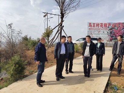 加强互学互鉴 助力村落振兴