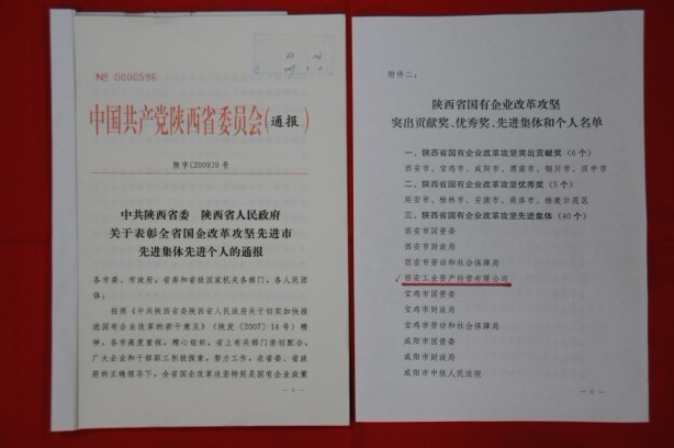 2009年2月，被陕西省委、省敌灾授予陕西省国有企业鼎新攻坚先进集体