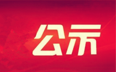 2015年市属企业掌管人薪酬情况