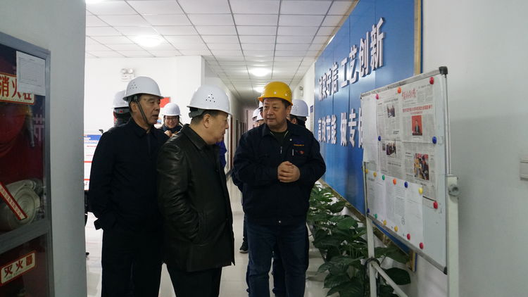 集团辅导金辉带队赴尺度电梯、尺度热处置进行工作调研